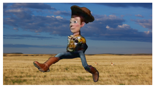 Woody in the Plains