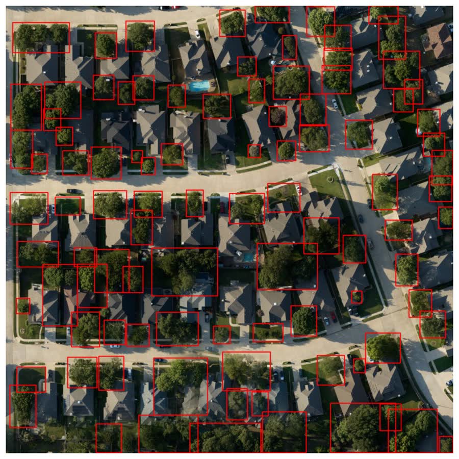 UAV-Based Tree Crown Detection for Urban Tree Stress Analysis preview