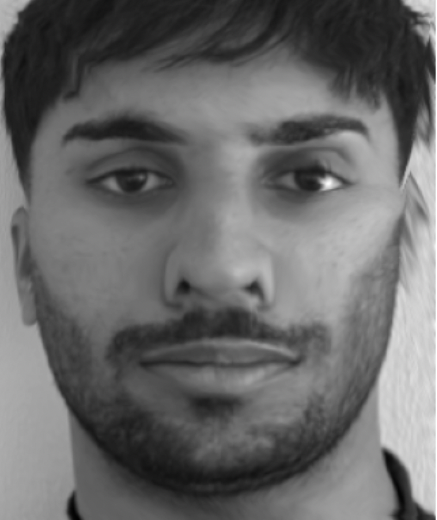 Caricature alpha 1.1