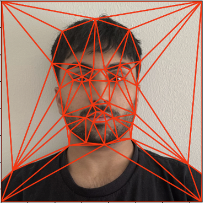 Triangulation on my face