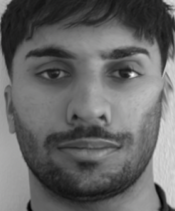 My face warped to average