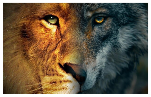 Animal blend