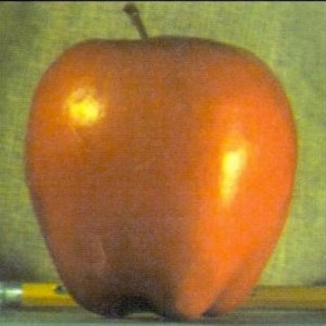 Apple source