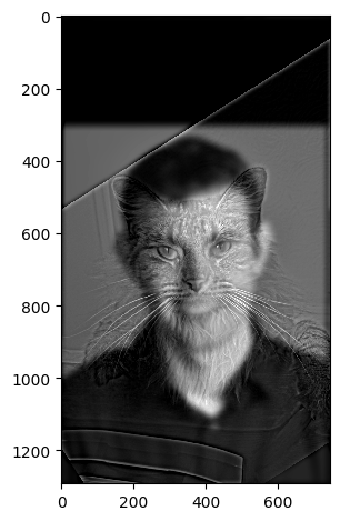 Hybrid image