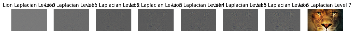 Lion Laplacian stack