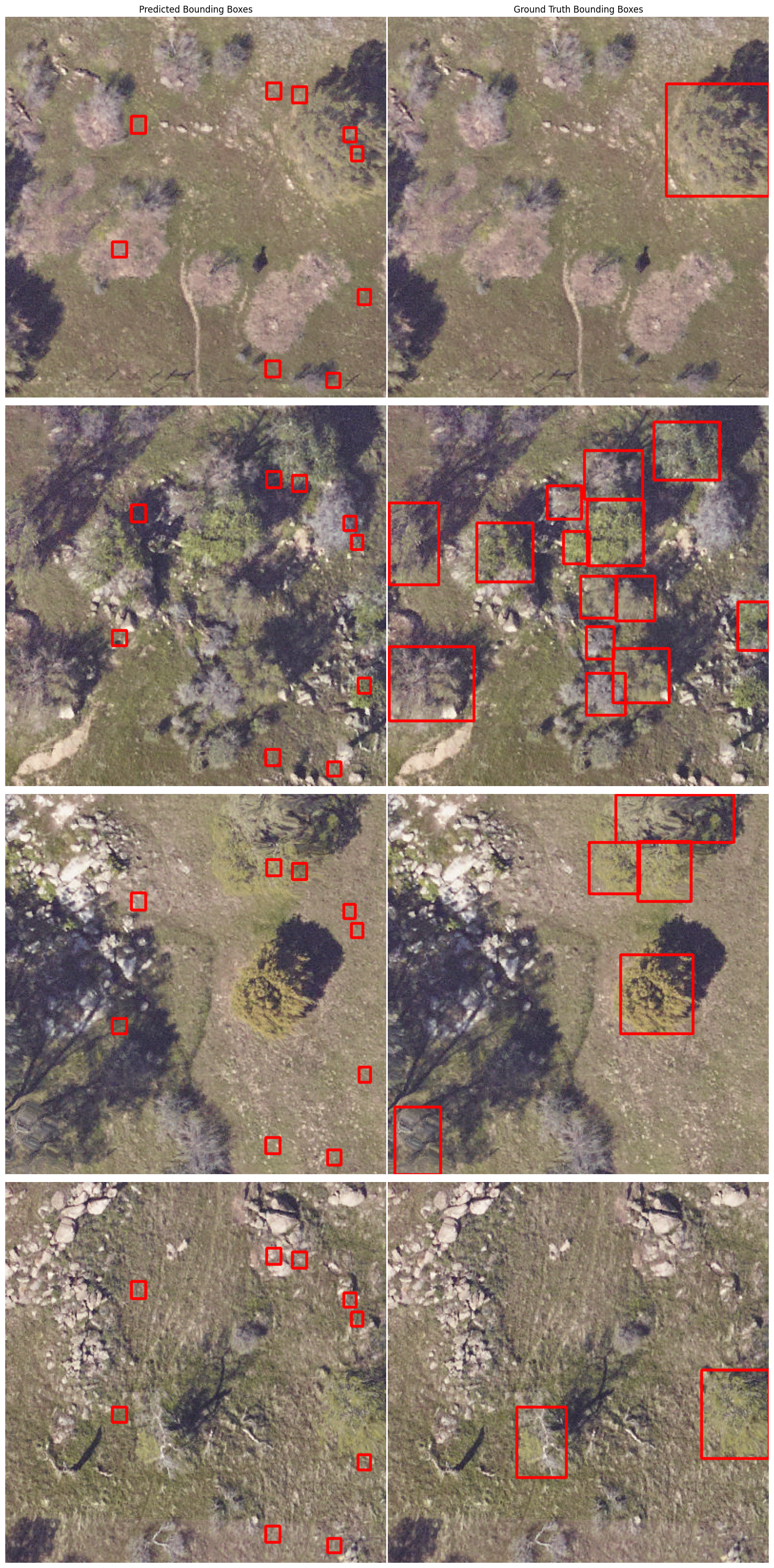Box Decoder prediction comparison during training experiments