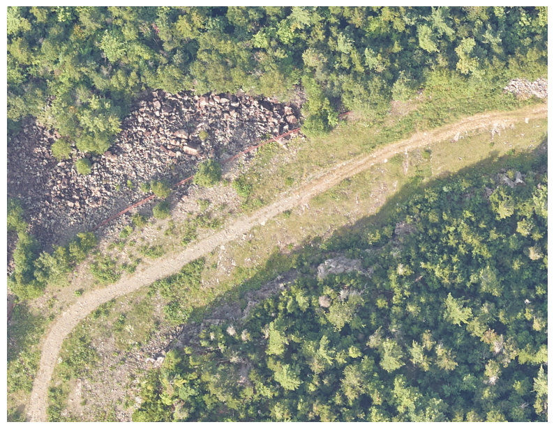 Dense canopy patch with weak crown boundaries
