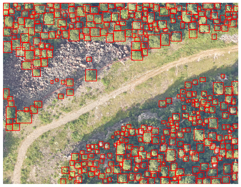 Reference crown-level annotations for the same scene