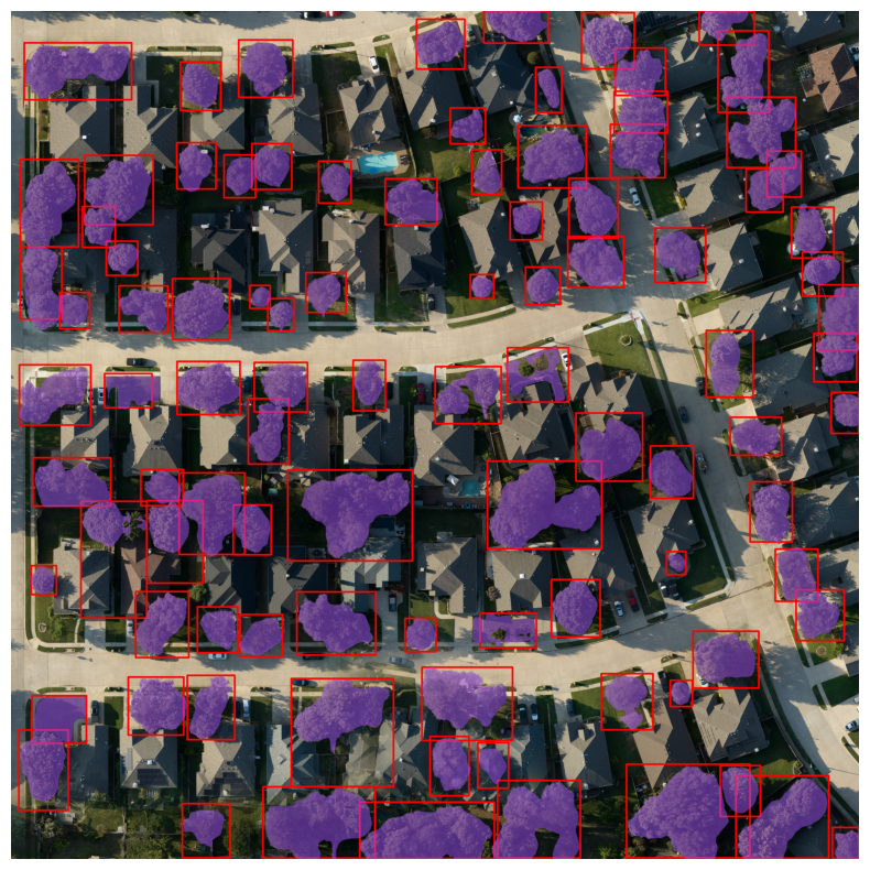 SAM masks generated from the detected boxes